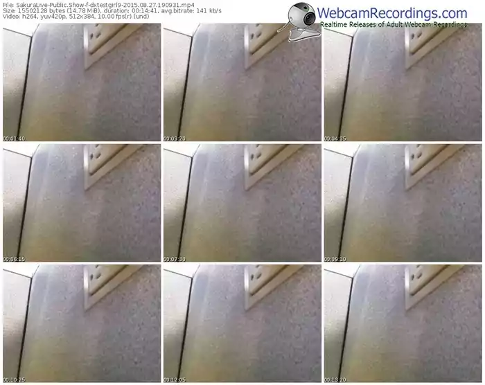 sakuralivejp-dxtestgirl9-public-show-08_27_2015-19_09_31