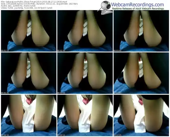 sakuralivejp-mari2014-public-show-08_27_2015-11_24_30