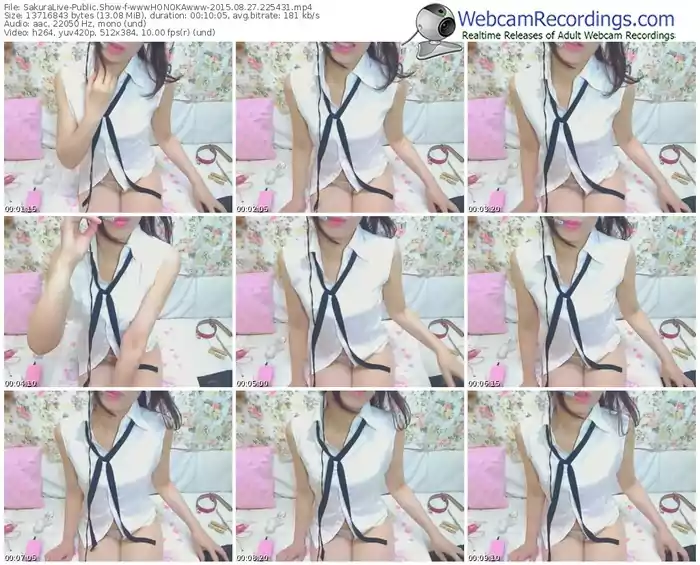 sakuralivejp-wwwhonokawww-public-show-08_27_2015-22_54_31