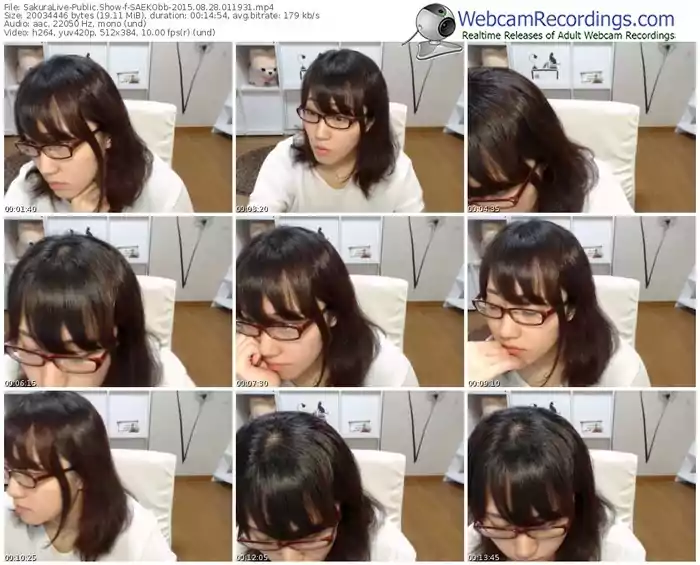 sakuralivejp-saekobb-public-show-08_28_2015-01_19_31