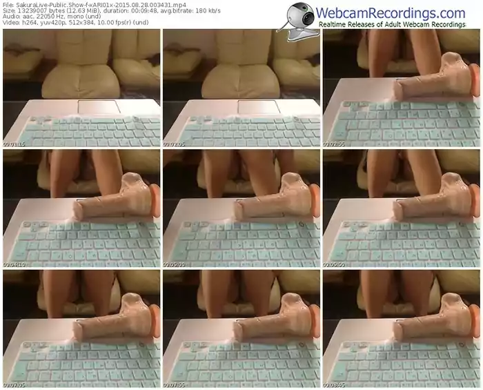 sakuralivejp-xari01x-public-show-08_28_2015-00_34_31