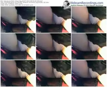 sakuralivejp-ayu86927-public-show-08_29_2015-18_14_46