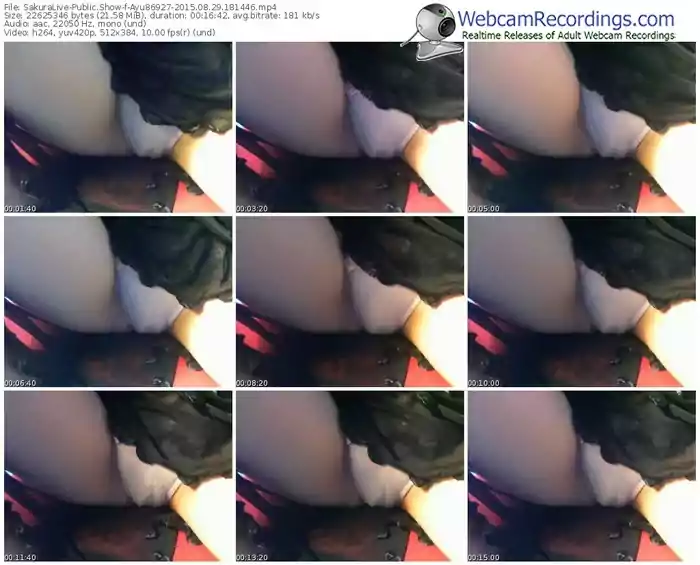 sakuralivejp-ayu86927-public-show-08_29_2015-18_14_46