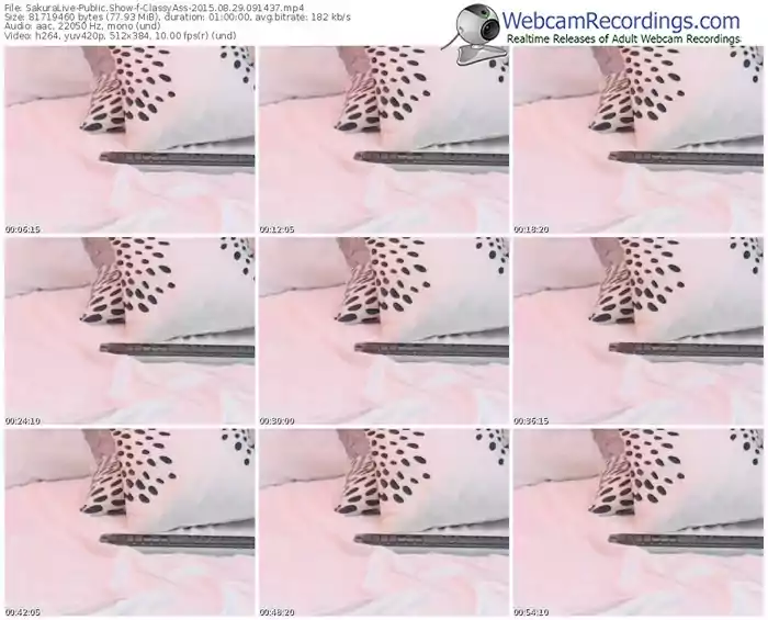 sakuralivejp-classyass-public-show-08_29_2015-09_14_37