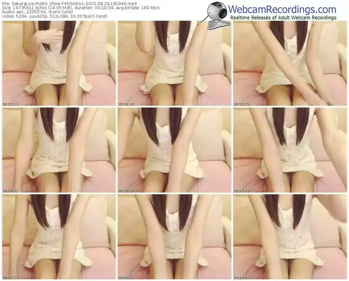 sakuralivejp-misakiv1-public-show-08_29_2015-18_19_46