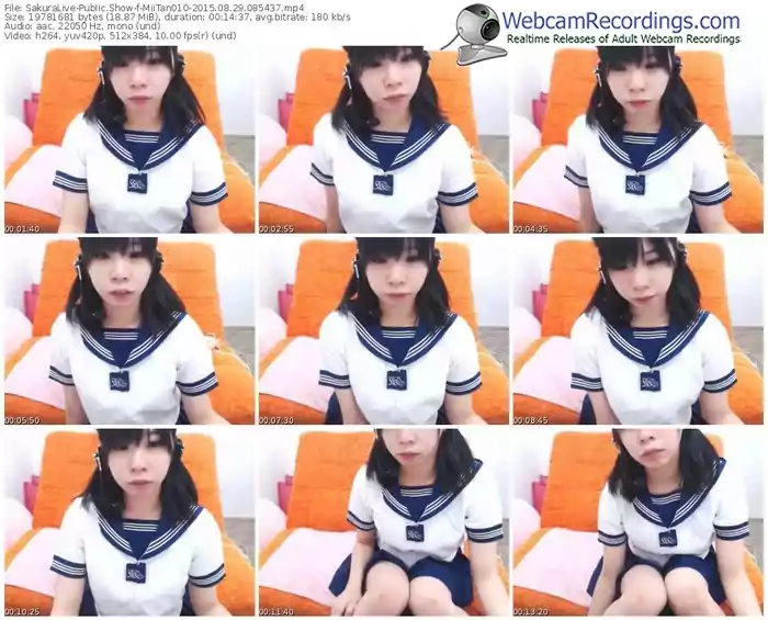 sakuralivejp-miitan010-public-show-08_29_2015-08_54_37