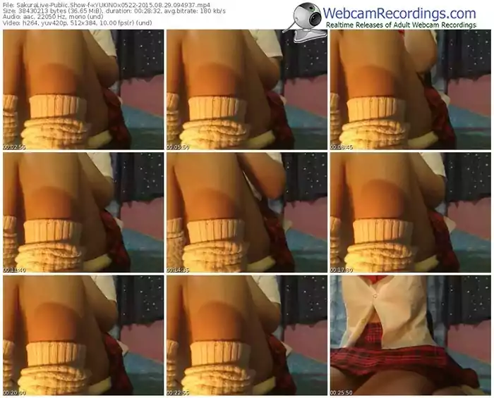 sakuralivejp-xyukinox0522-public-show-08_29_2015-09_49_37