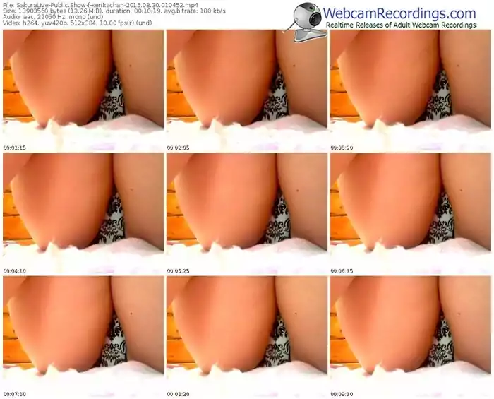 sakuralivejp-xerikachan-public-show-08_30_2015-01_04_52