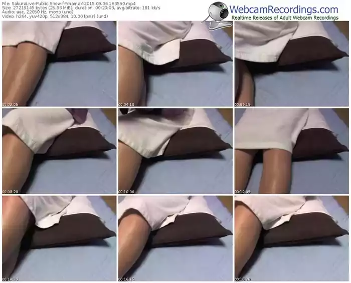 sakuralivejp-ymamay-public-show-09_06_2015-16_35_50