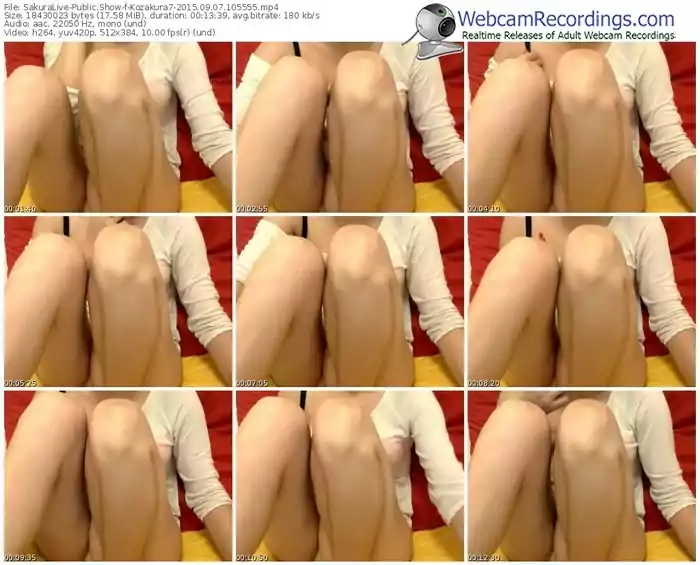 sakuralivejp-kozakura7-public-show-09_07_2015-10_55_55