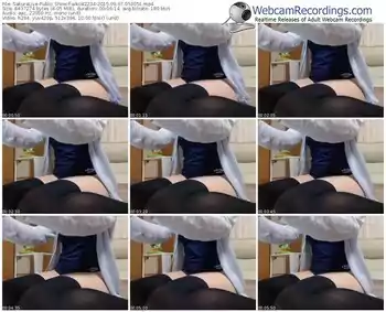 sakuralivejp-aiko42234-public-show-09_07_2015-05_30_51