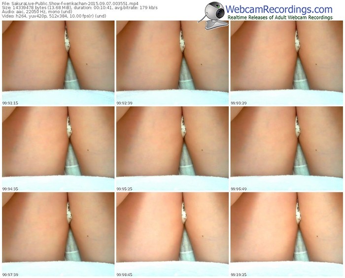 sakuralivejp-xerikachan-public-show-09_07_2015-00_35_51