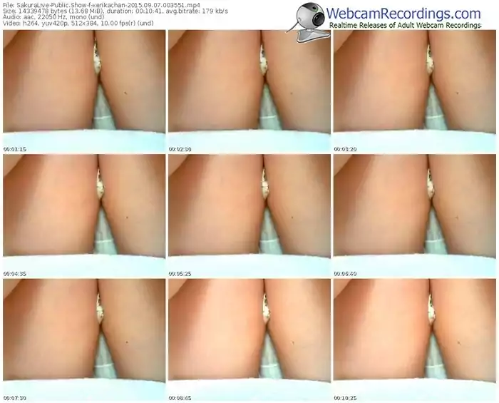 sakuralivejp-xerikachan-public-show-09_07_2015-00_35_51