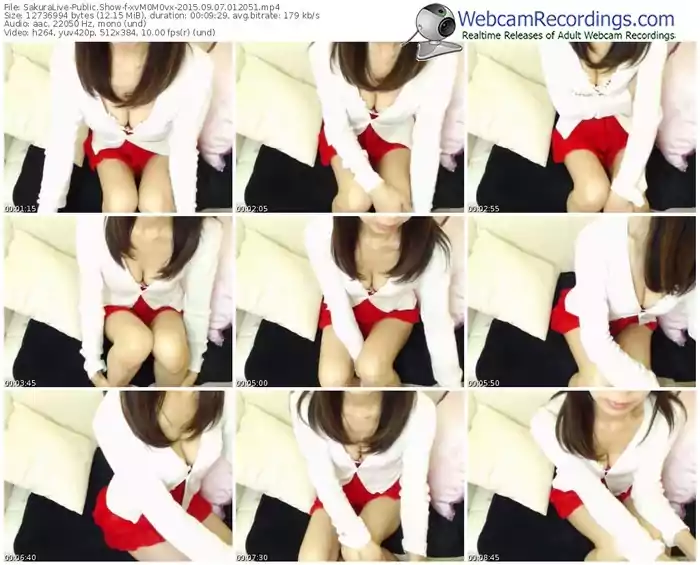 sakuralivejp-xvm0m0vx-public-show-09_07_2015-01_20_51