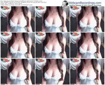 sakuralivejp-zzvrenvzz-public-show-09_07_2015-06_20_51