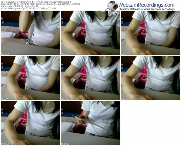 sakuralivejp-merinda-public-show-09_12_2015-08_15_58