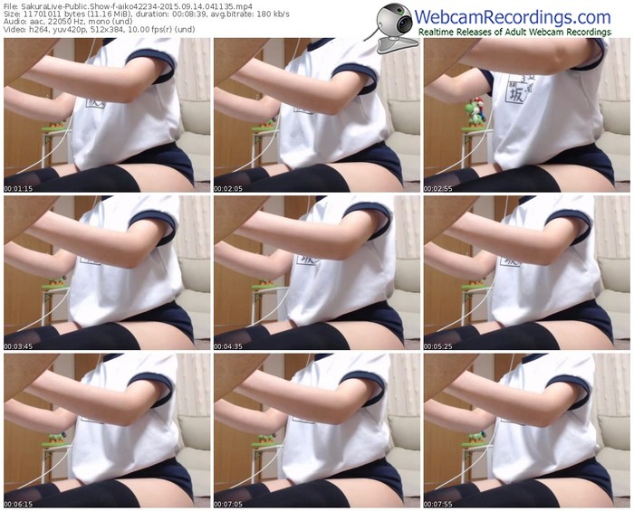 sakuralivejp-aiko42234-public-show-09_14_2015-04_11_35