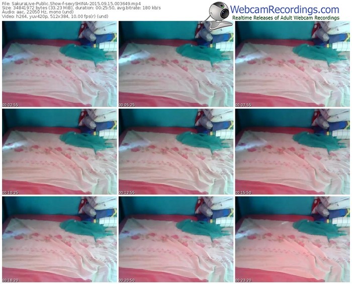 sakuralivejp-sexyshina-public-show-09_15_2015-00_36_49