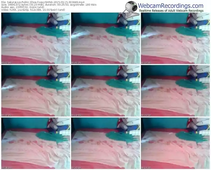 sakuralivejp-sexyshina-public-show-09_15_2015-00_36_49