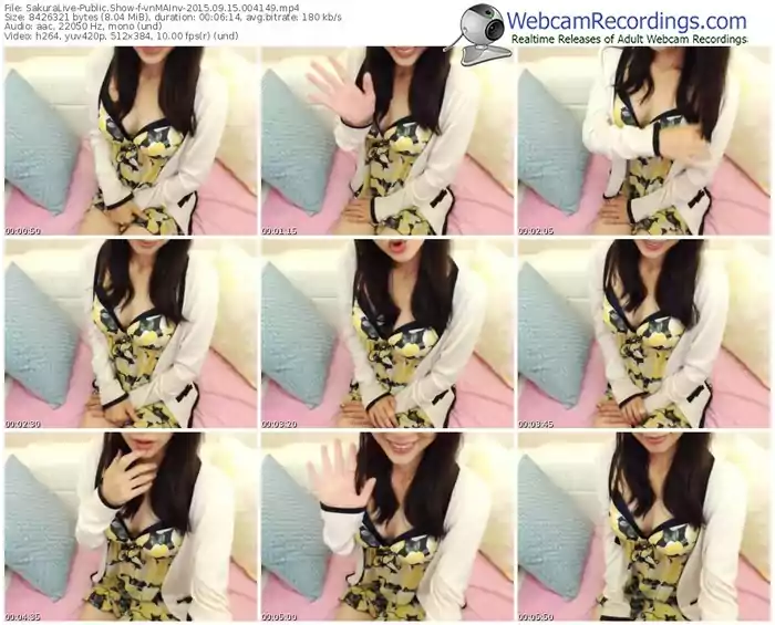 sakuralivejp-vnmainv-public-show-09_15_2015-00_41_49