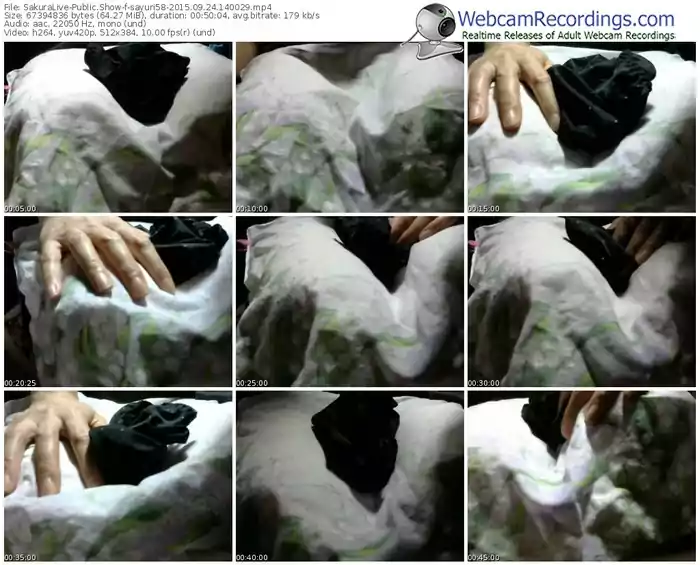 sakuralivejp-sayuri58-public-show-09_24_2015-14_00_29