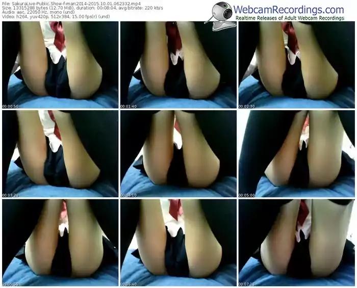 sakuralivejp-mari2014-webcam-show-10_01_2015-06_23_32