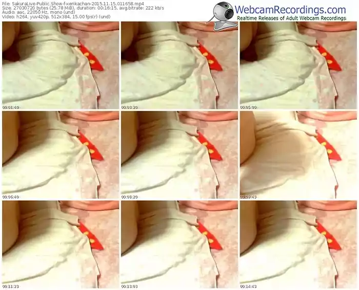 sakuralivejp-xerikachan-webcam-show-11_15_2015-01_16_58