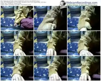 sakuralivejp-merinda-webcam-show-11_18_2015-06_48_23