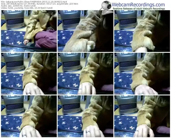 sakuralivejp-merinda-webcam-show-11_18_2015-06_48_23