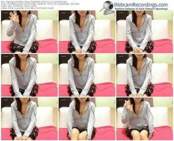 sakuralivejp-sara66-webcam-show-11_20_2015-23_34_32
