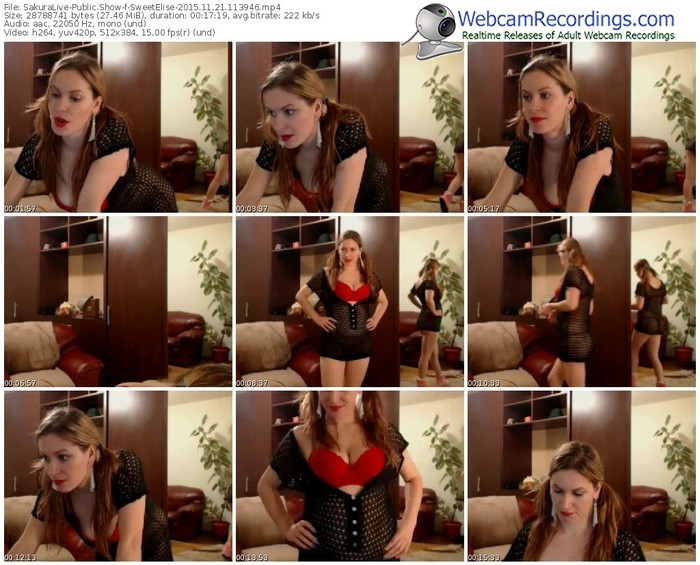 sakuralivejp-sweetelise-webcam-show-11_21_2015-11_39_46