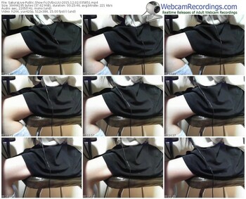 sakuralivejp-lovexluu-webcam-show-12_02_2015-03_58_51