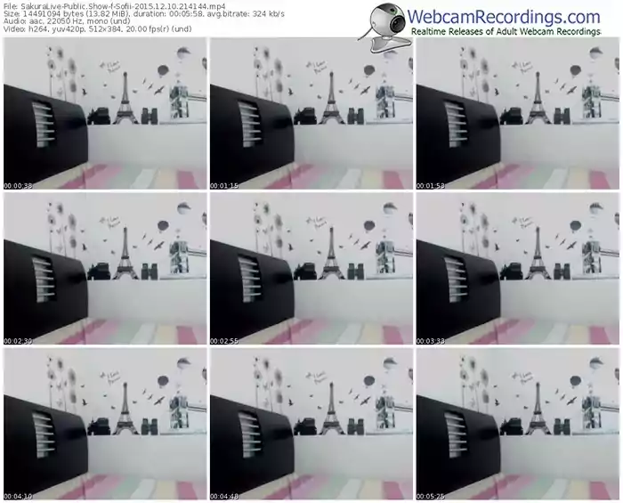 sakuralivejp-sofii-webcam-show-12_10_2015-21_41_44