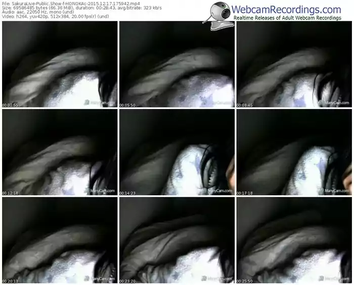 sakuralivejp-honokac-webcam-show-12_17_2015-17_59_42