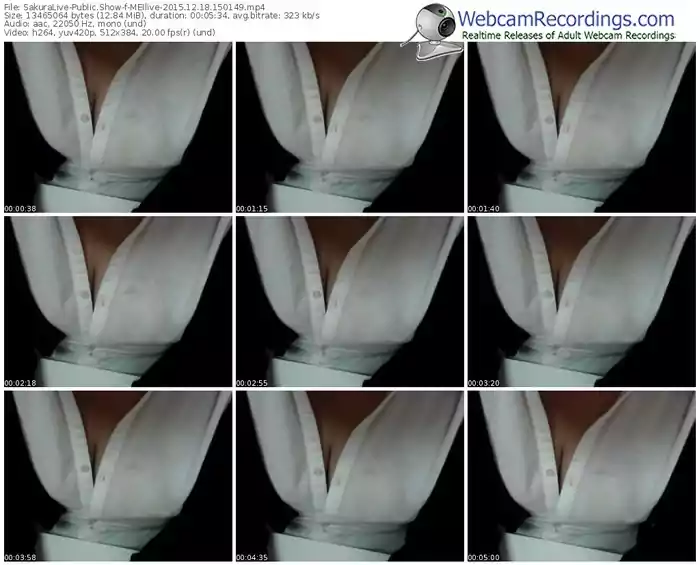 sakuralivejp-meilive-webcam-show-12_18_2015-15_01_49