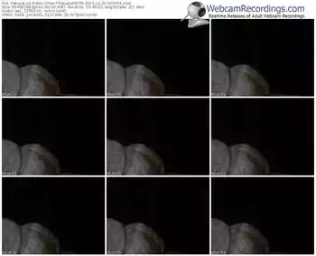 sakuralivejp-haruka48765-webcam-show-12_20_2015-00_36_54