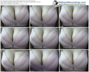 sakuralivejp-hotmegan-webcam-show-12_20_2015-00_11_56