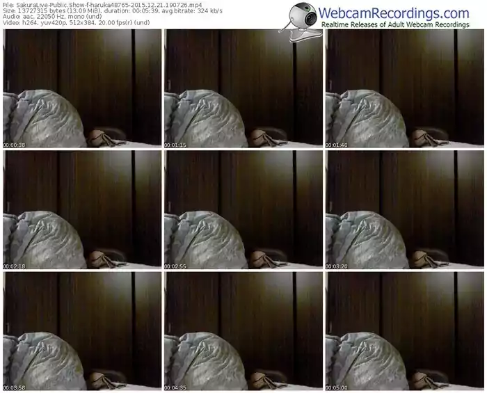 sakuralivejp-haruka48765-webcam-show-12_21_2015-19_07_26
