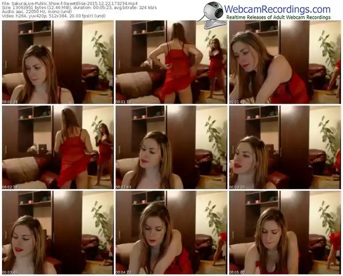 sakuralivejp-sweetelise-webcam-show-12_22_2015-17_32_34