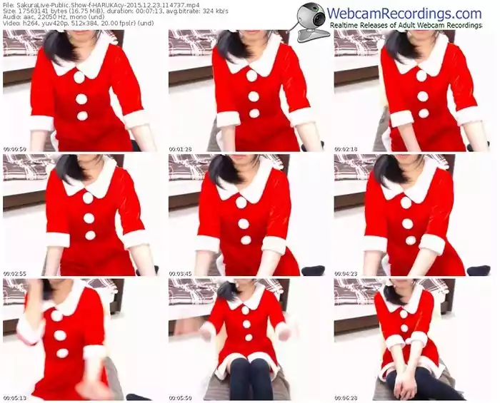 sakuralivejp-harukacy-webcam-show-12_23_2015-11_47_37