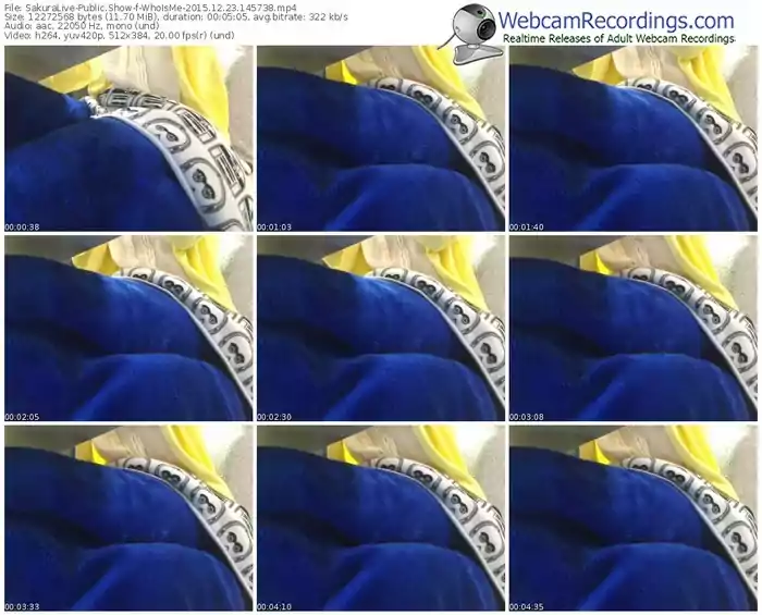 sakuralivejp-whoisme-webcam-show-12_23_2015-14_57_38