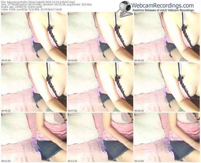 sakuralivejp-ako02-webcam-show-12_23_2015-14_52_37