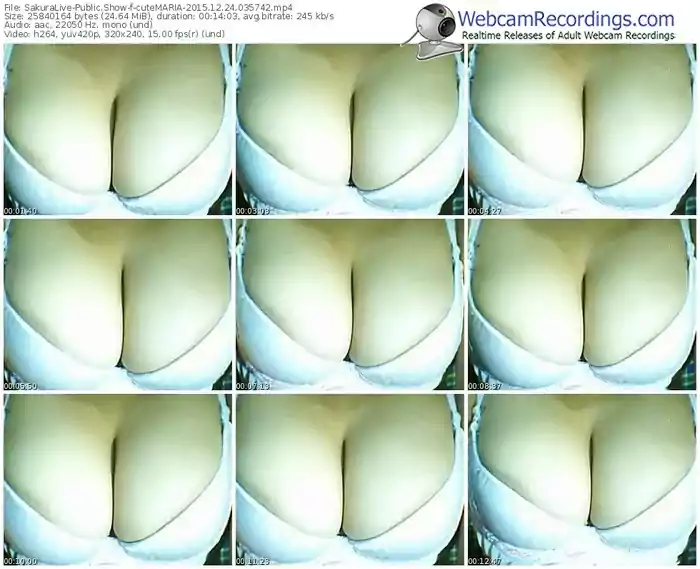 sakuralivejp-cutemaria-webcam-show-12_24_2015-03_57_42