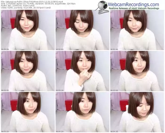 sakuralivejp-noatea-webcam-show-12_25_2015-21_58_32