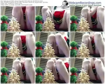 sakuralivejp-hazuki0709-webcam-show-12_25_2015-06_03_14