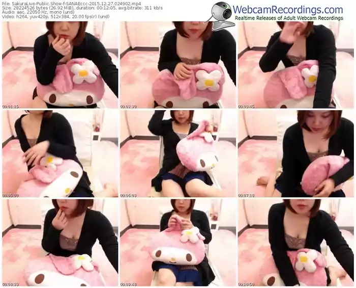 sakuralivejp-sanaeccc-webcam-show-12_27_2015-02_49_02