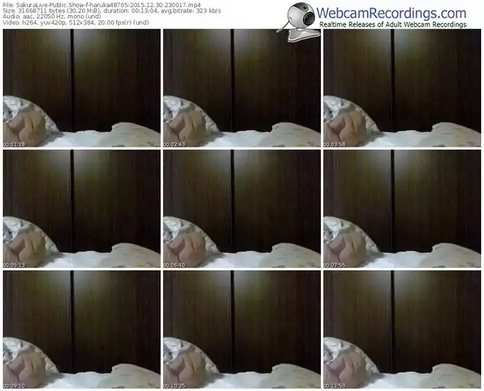 sakuralivejp-haruka48765-webcam-show-12_30_2015-23_00_17