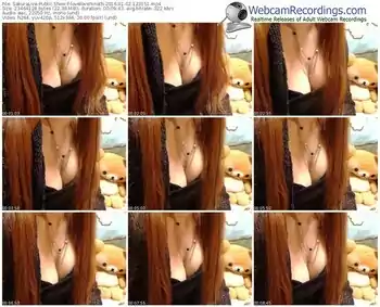 sakuralivejp-lovelovehinath-webcam-show-01_02_2016-12_31_51