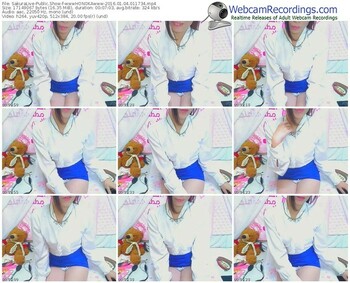 sakuralivejp-wwwhonokawww-webcam-show-01_04_2016-01_17_34