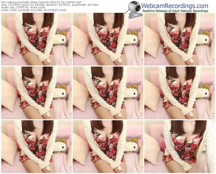 sakuralivejp-dxaixb-webcam-show-01_18_2016-12_58_45